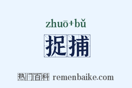 捉捕是什么意思的图片